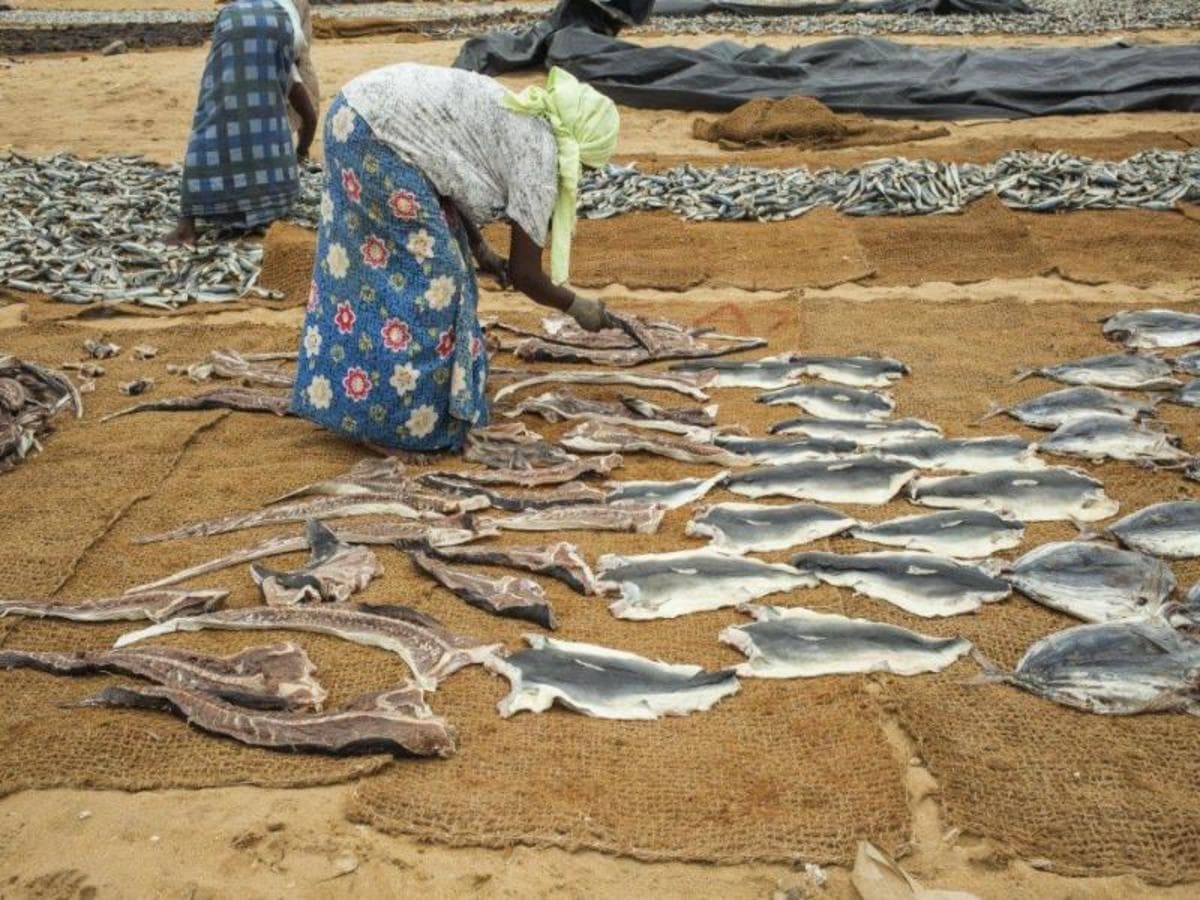 City Break, Escape to Negombo