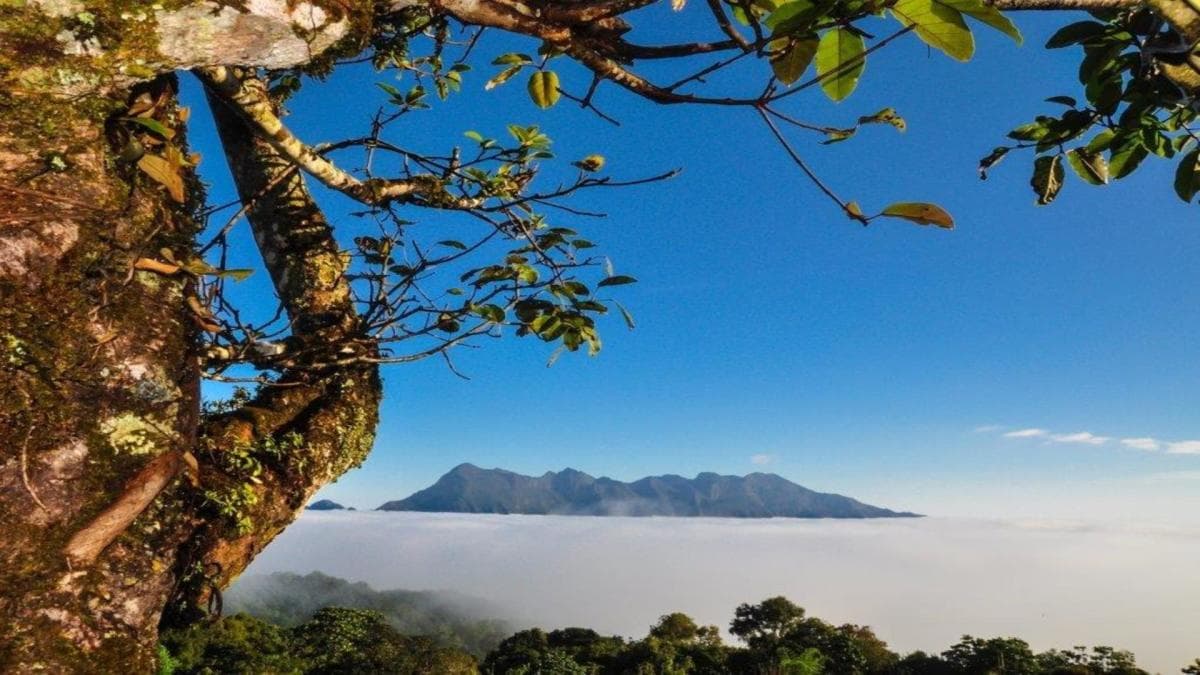 North Thailand Highlights, Private Tour