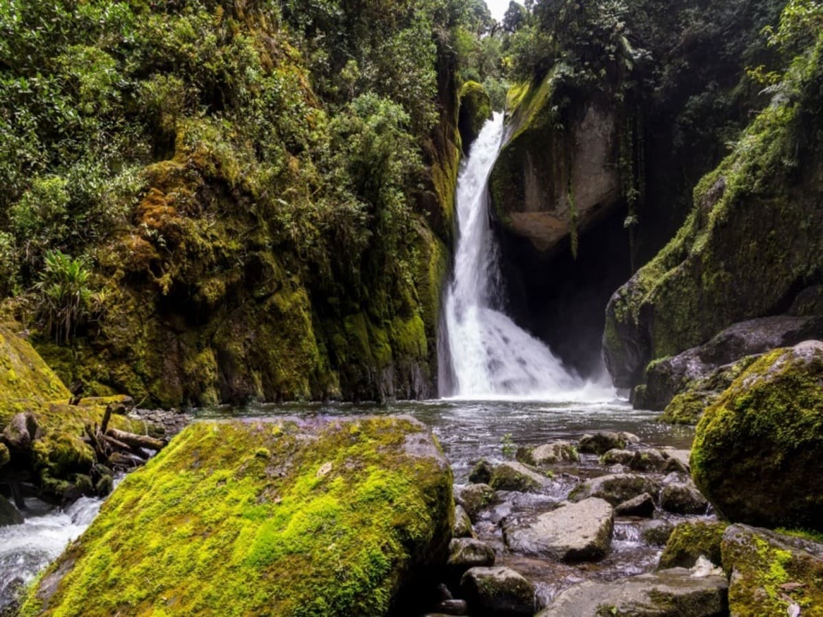 Costa Rica: Terre de Volcans et de Forêts Tropicales