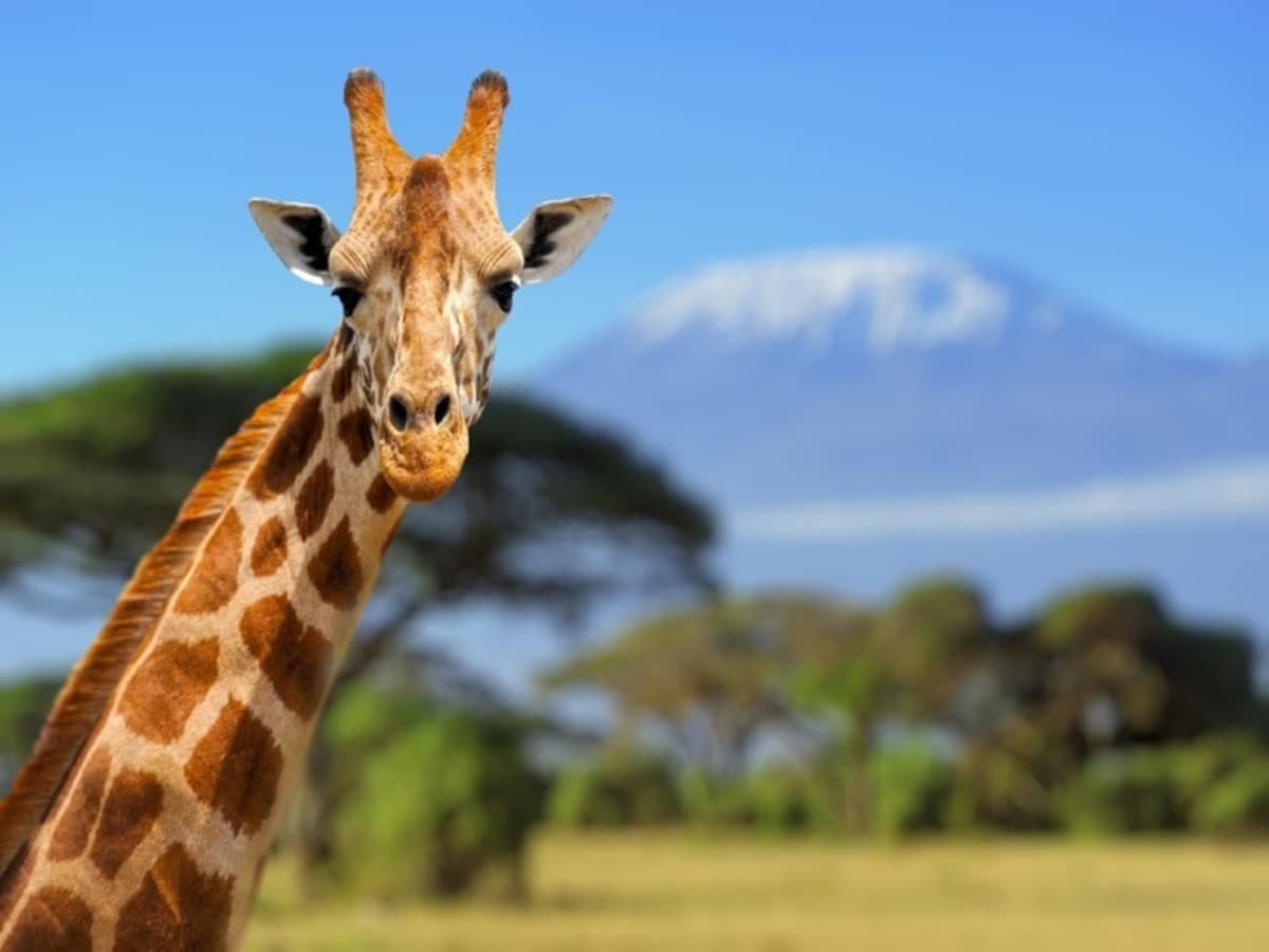 Kenya Classic, Sentrim Lodges - Private Tour