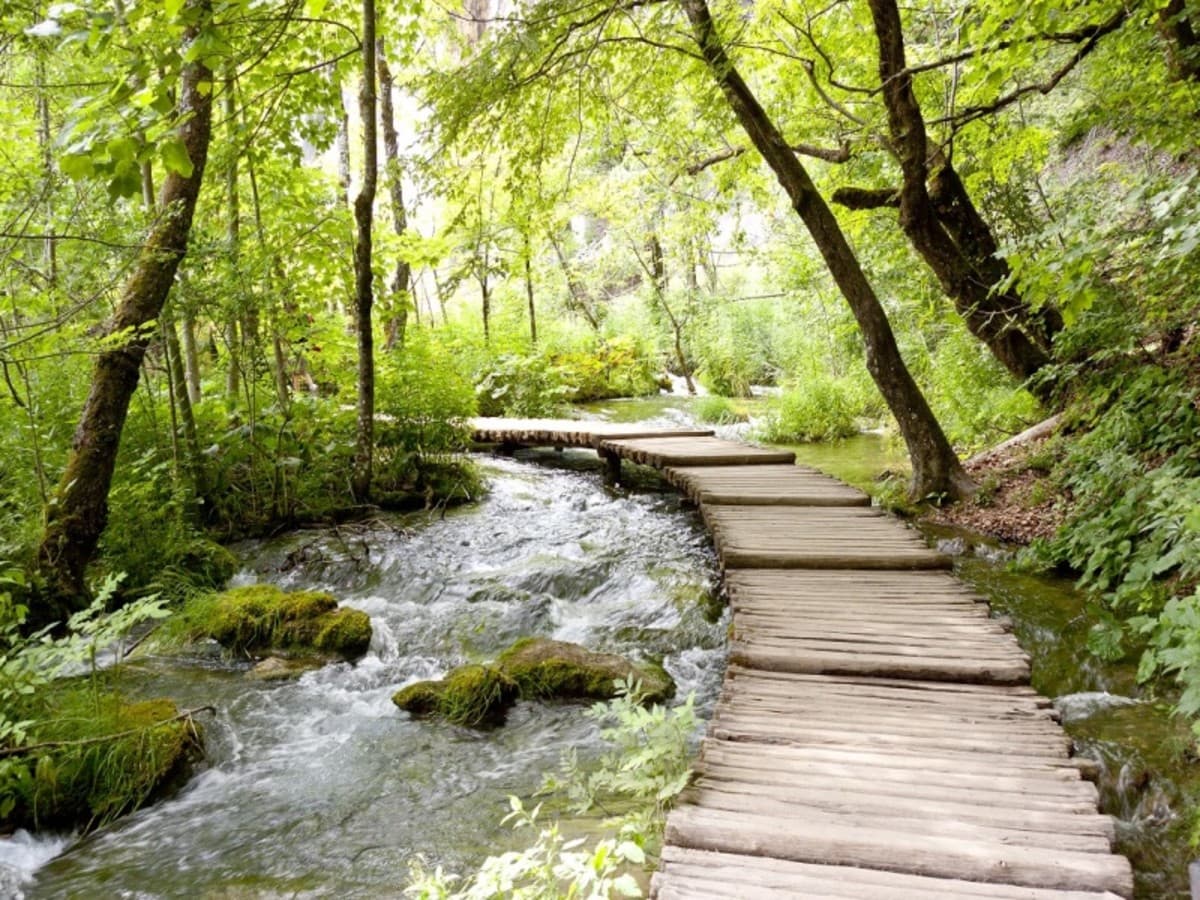 Patrimoine de l'UNESCO, Autotour