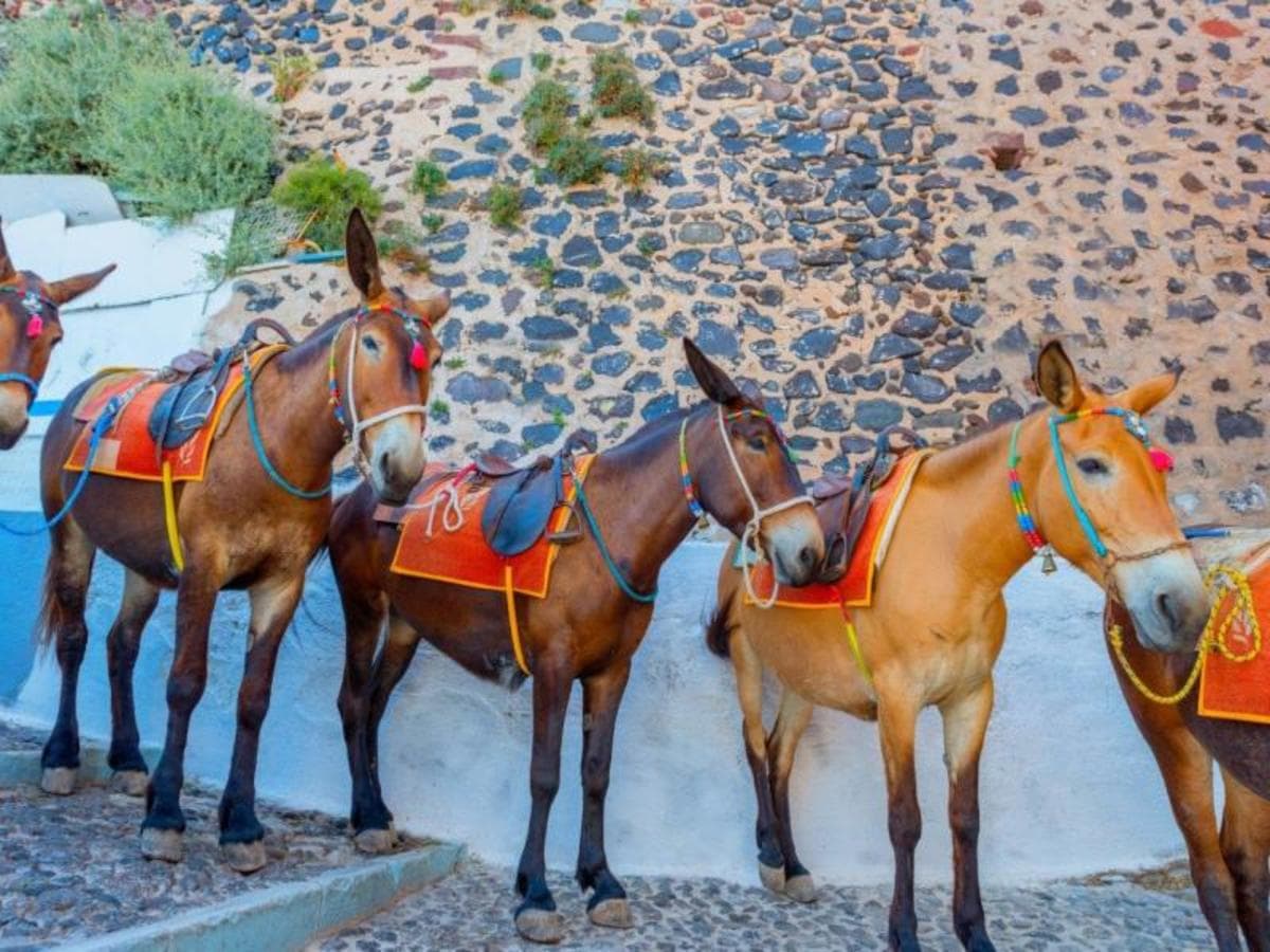 2-Day Escape to Santorini from Heraklion