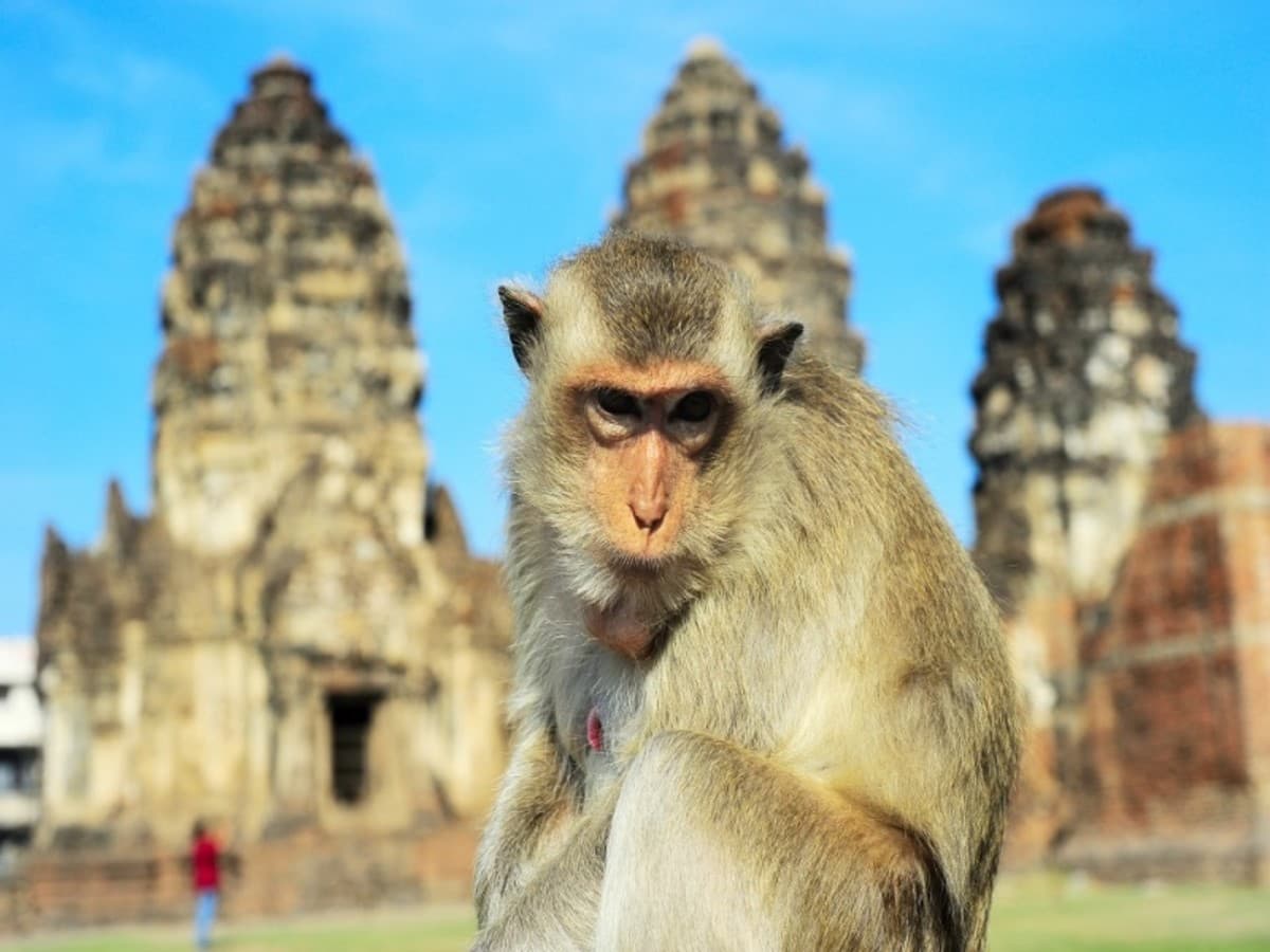 North Isaan e il Mekong, tour privato