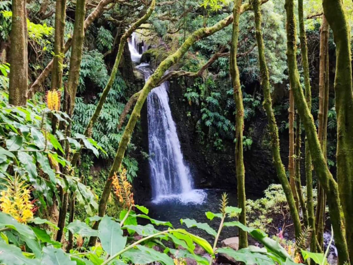 L'essence de Faial en 3 jours : volcans, cratères et horizons atlantiques