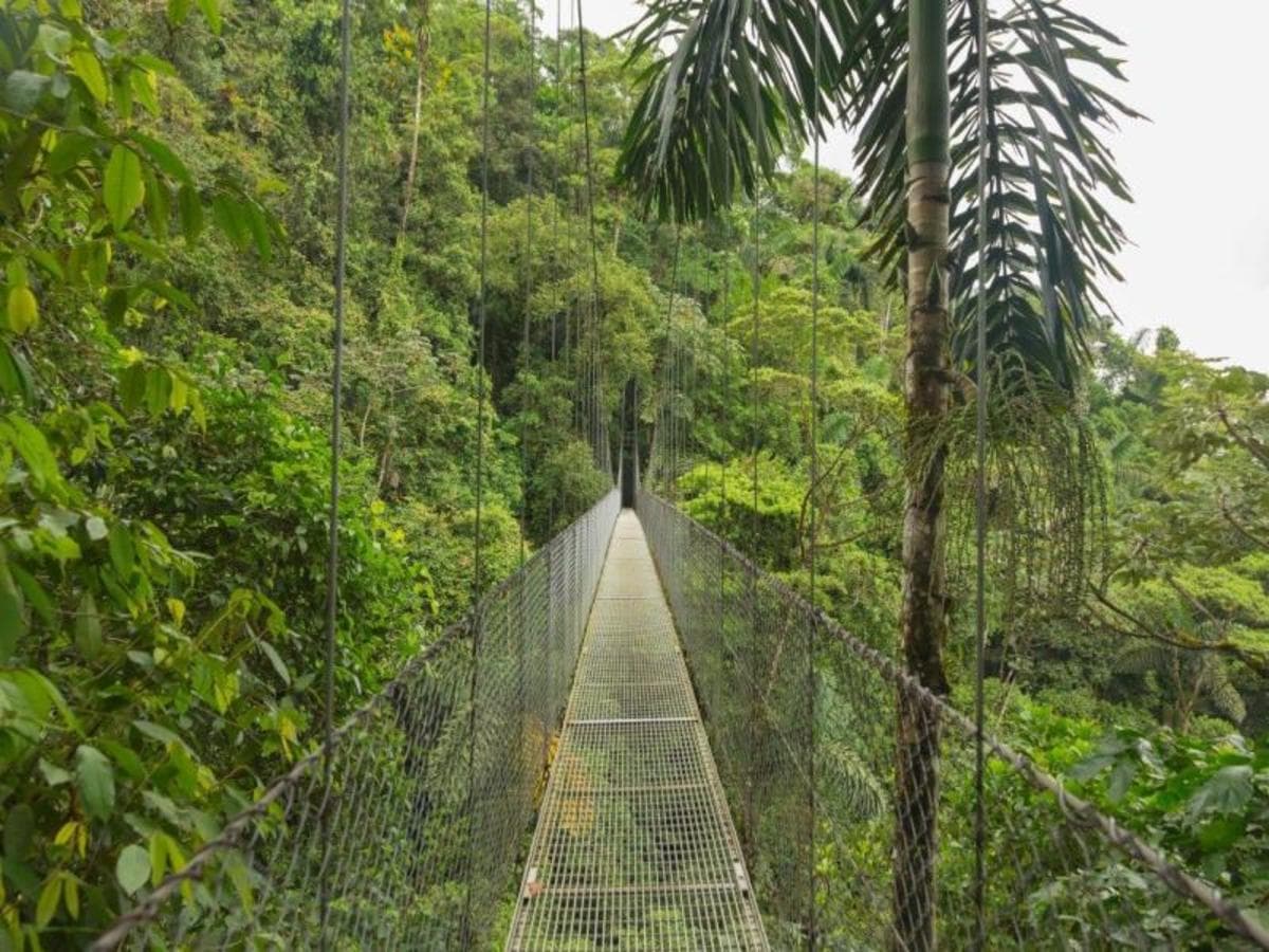 Costa Rica Natural Paradise