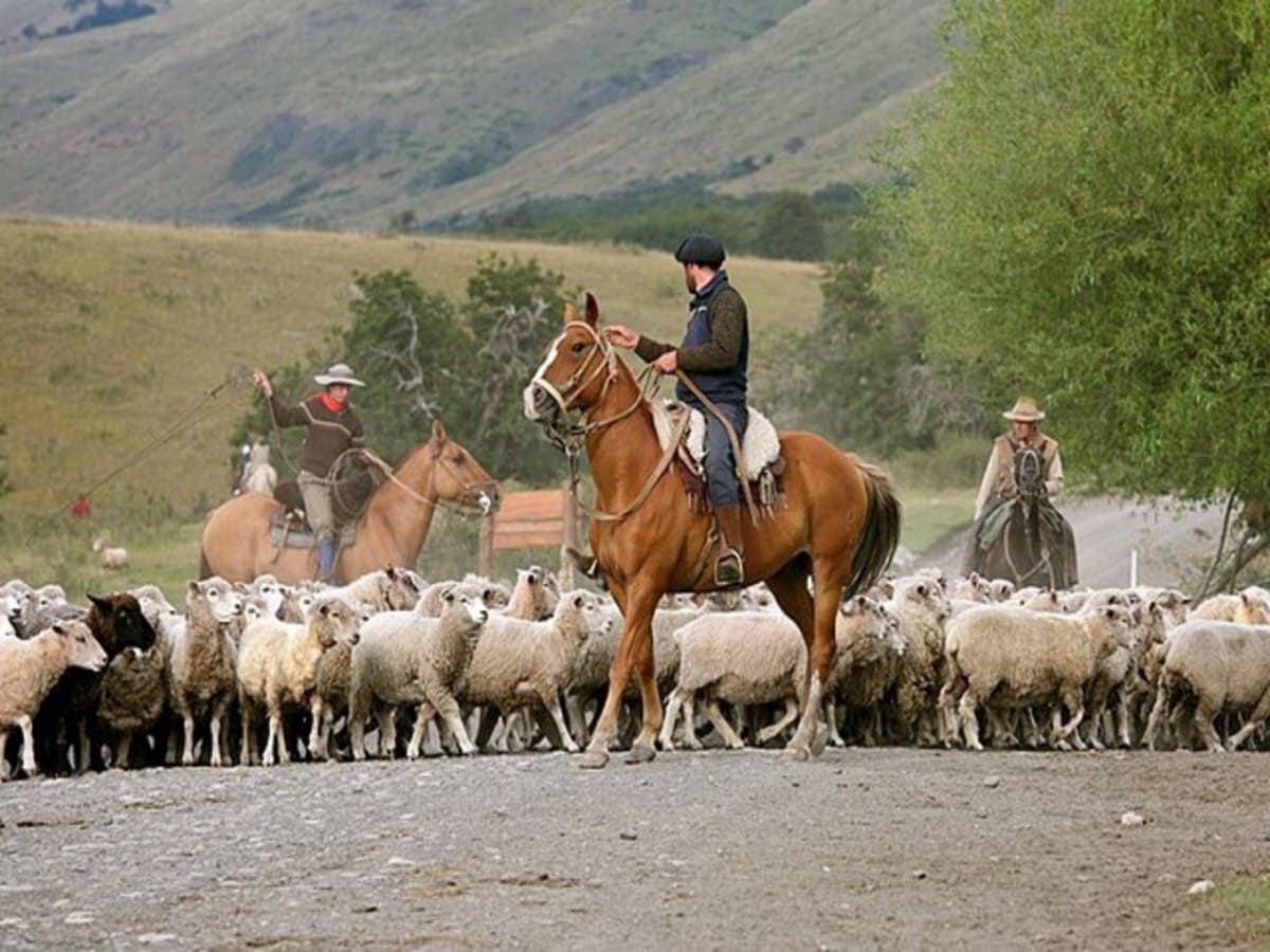 2-Day The Spirit of Patagonia: Ice Fields & Ranch Life