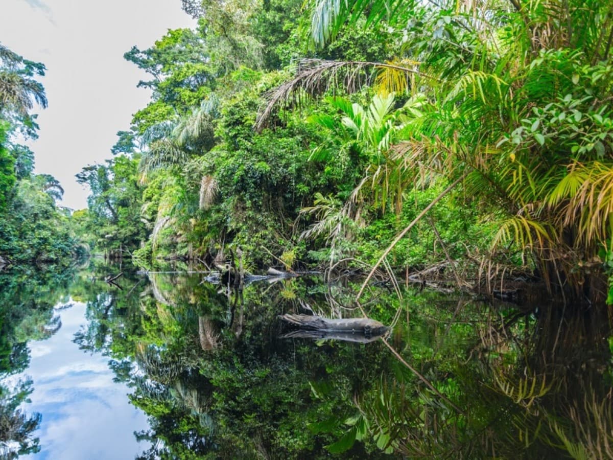 Superahorro | Descubriendo Costa Rica, 14 días