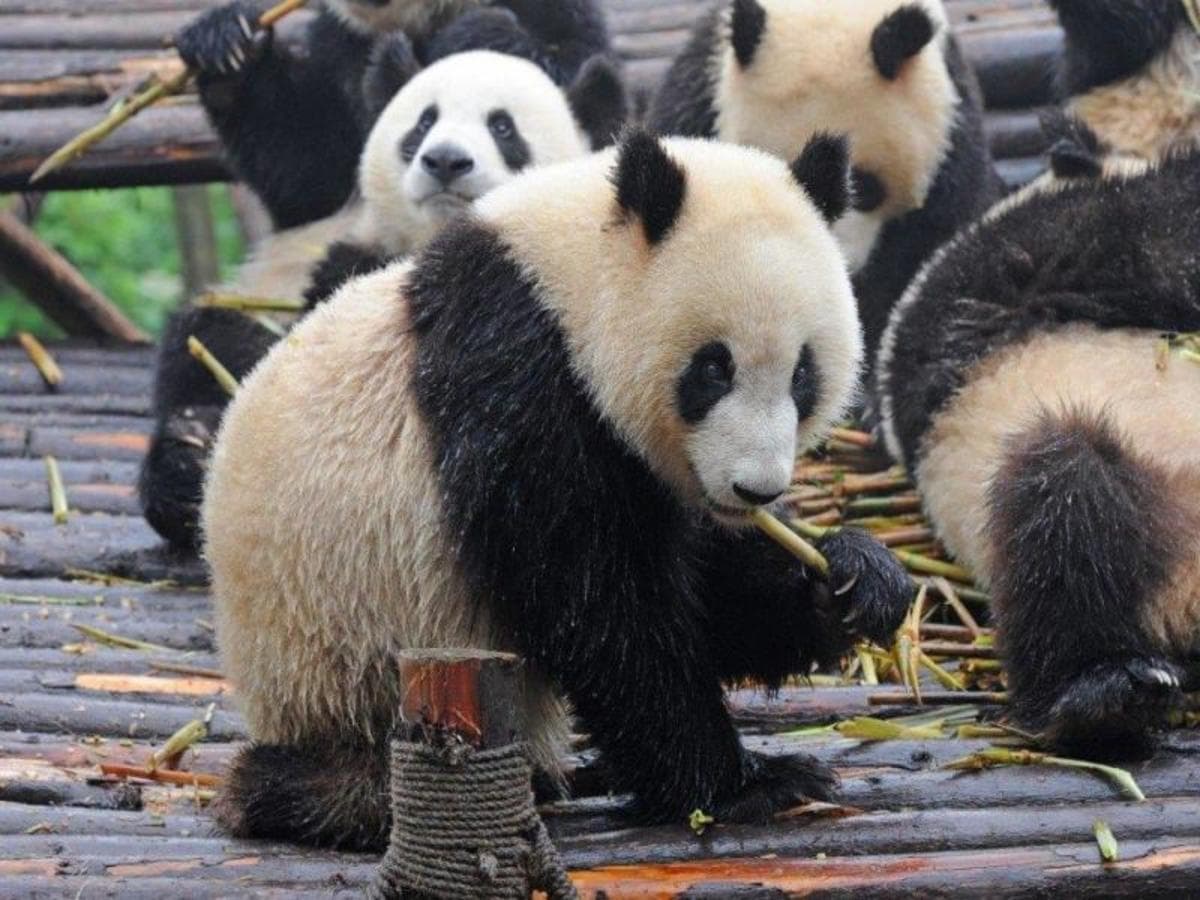 Grand Tour of China