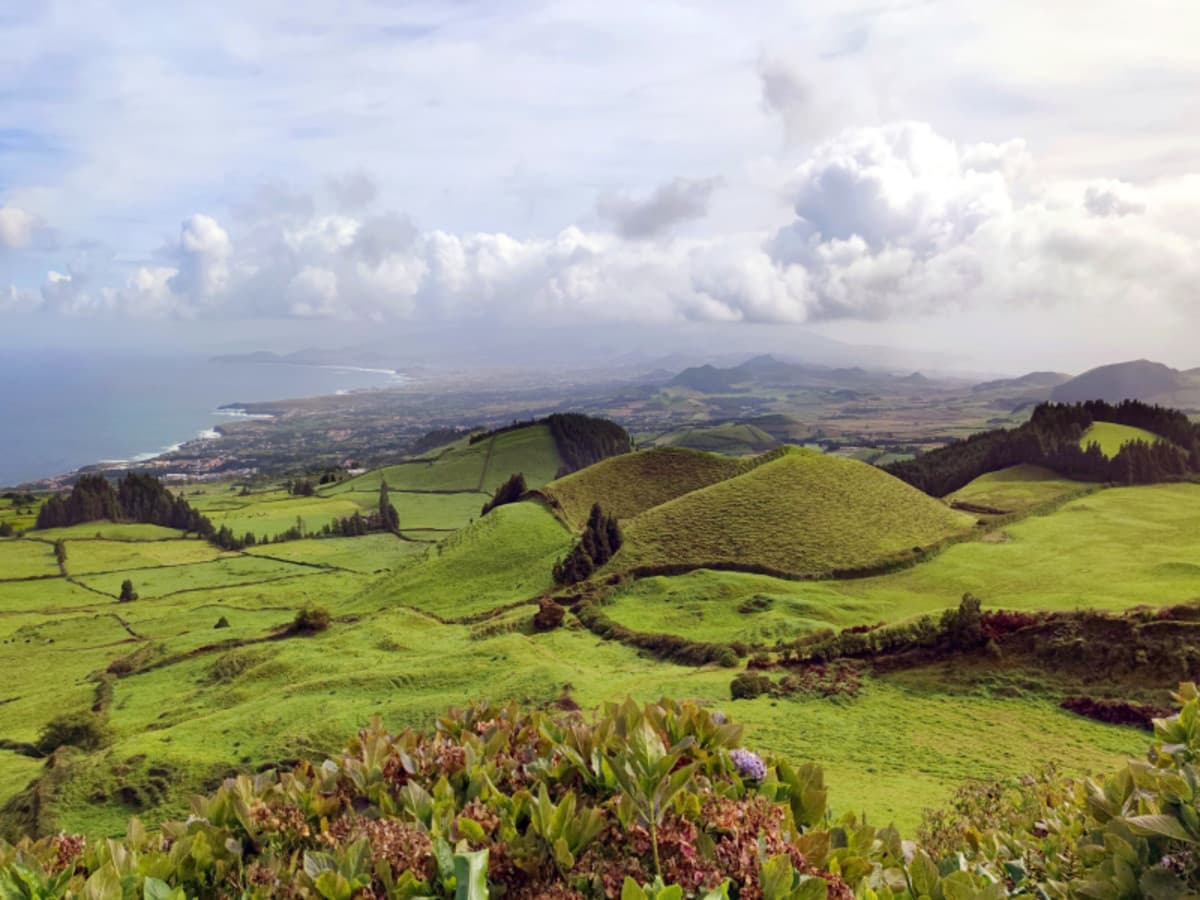 3-Day Pico Island: Volcanic Flavors & Coastal Pools