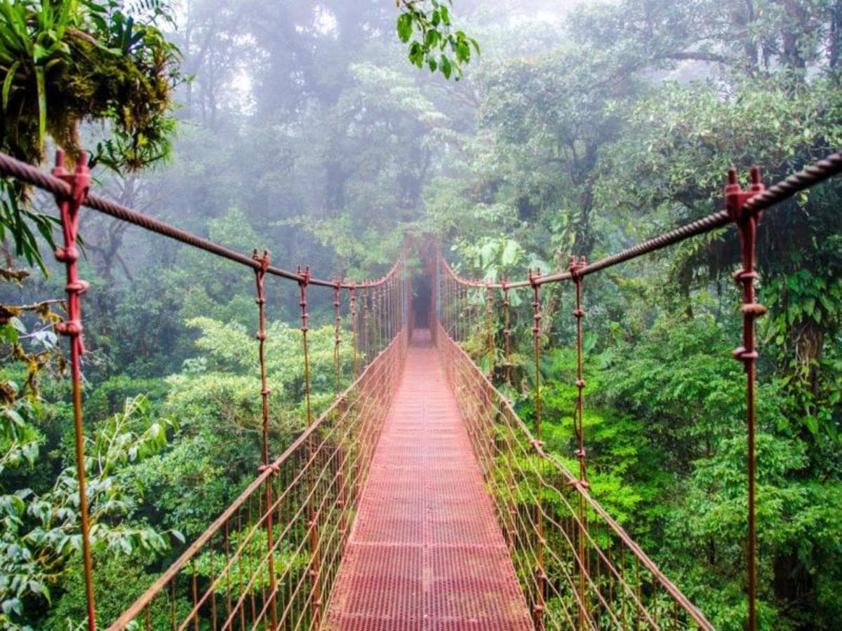 Pura Vida Experience