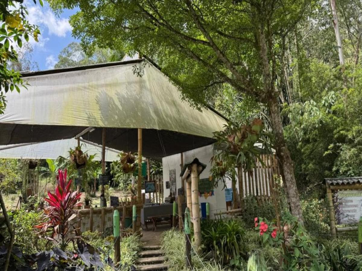 Experiencia cultural privada de 2 días en Medellín: de las tradiciones del café a los ritmos urbanos