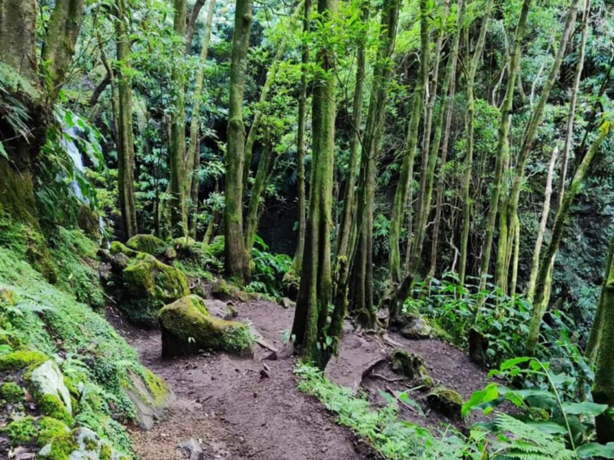 L'essence de Faial en 3 jours : volcans, cratères et horizons atlantiques
