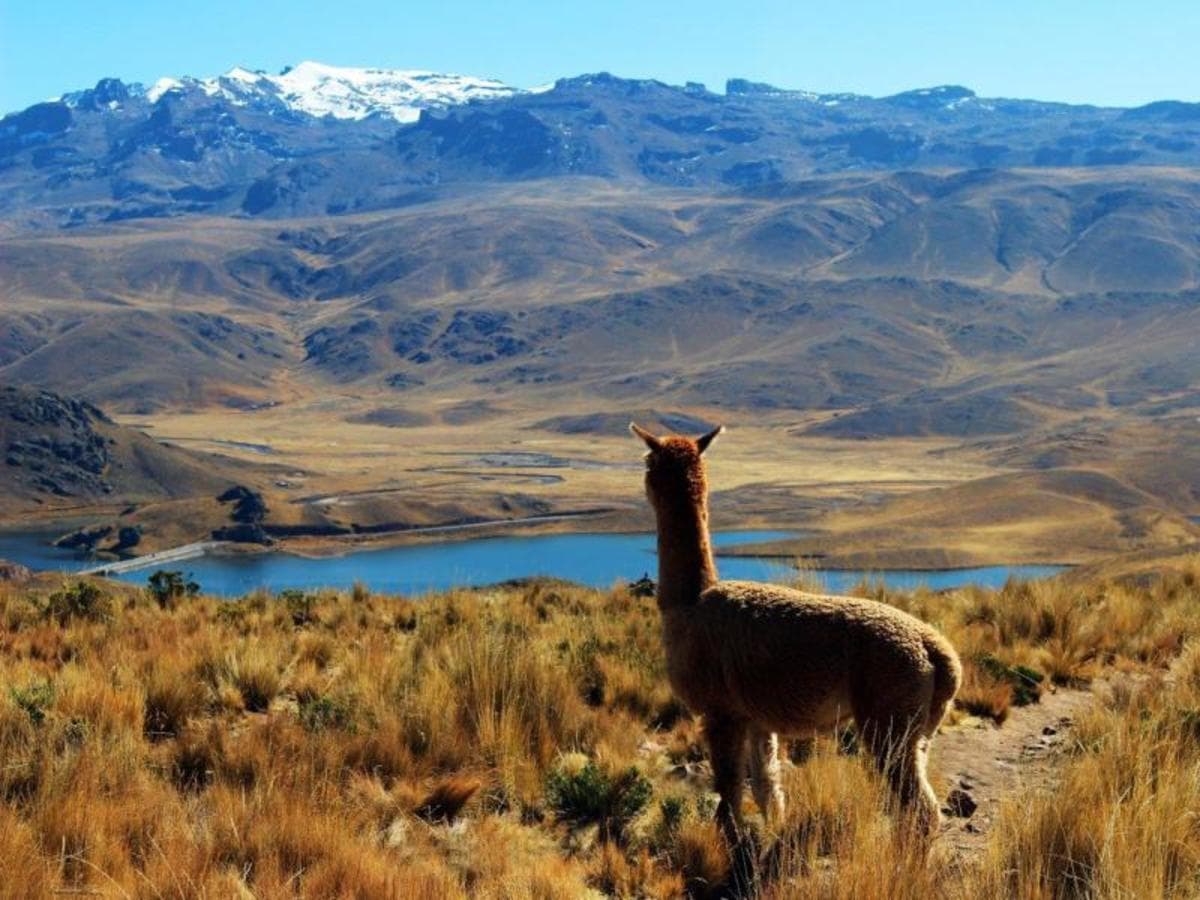 Huaraz, the Heart of the Mountains - Semi-private tour