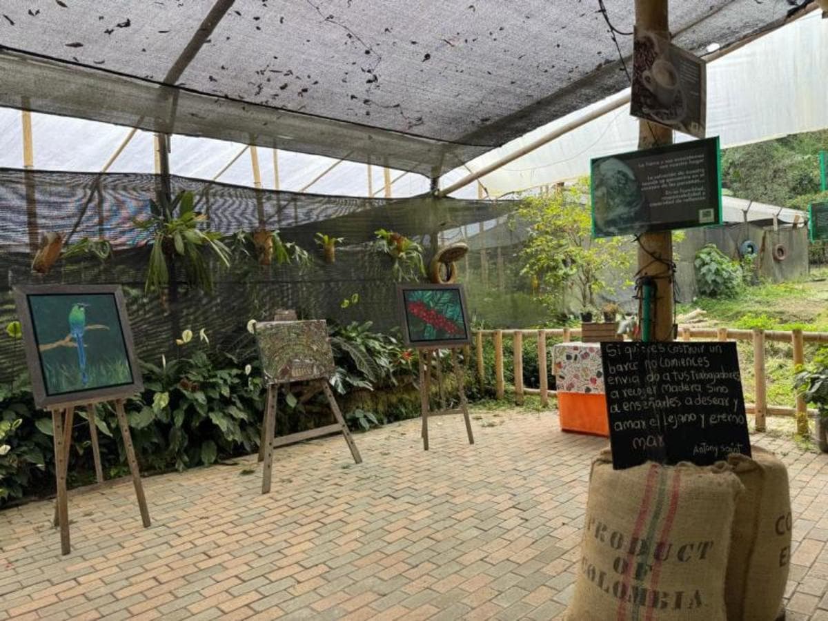 Experiencia cultural privada de 2 días en Medellín: de las tradiciones del café a los ritmos urbanos