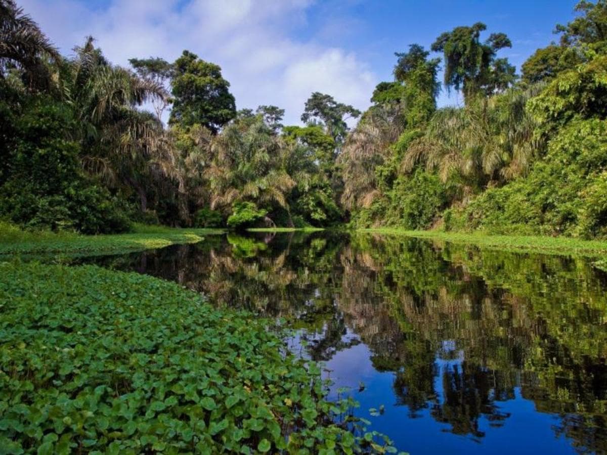 Tropical Costa Rica, 7 Days