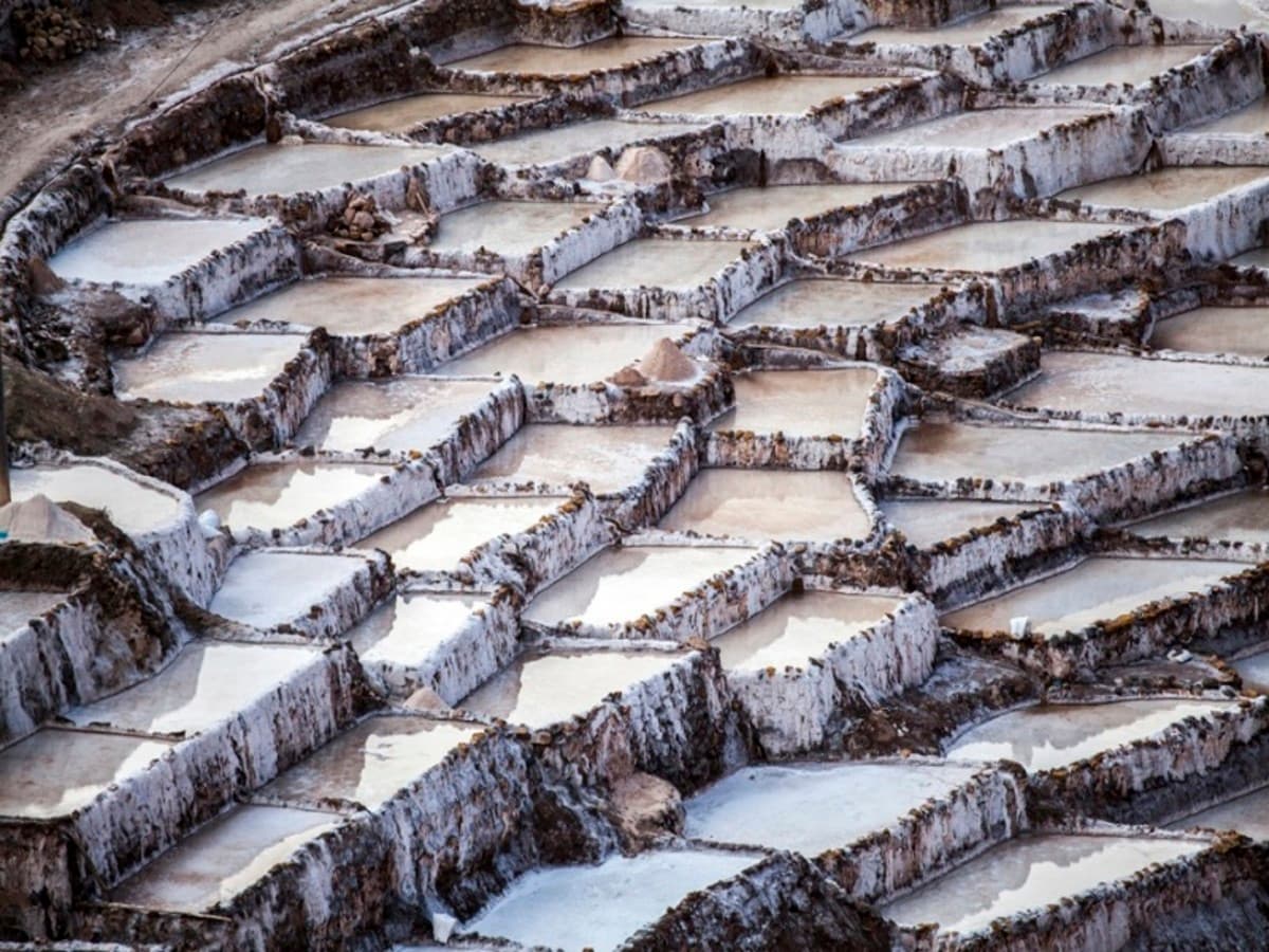 Southern Art & Culture, Private Tour