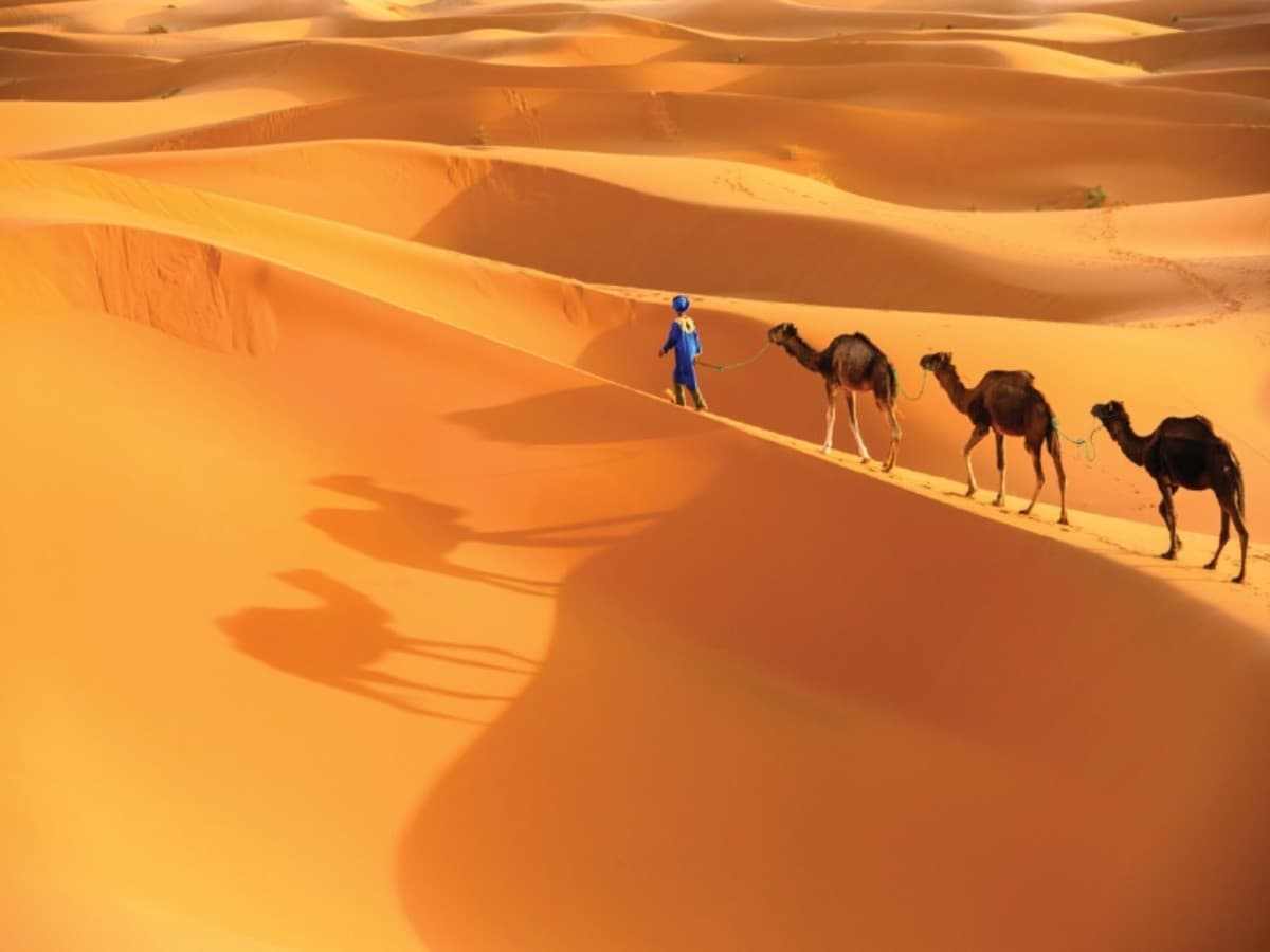 Circuit privatif : Marrakech et désert de Merzouga - 6 Nuits / 7 Jours ( en BB )