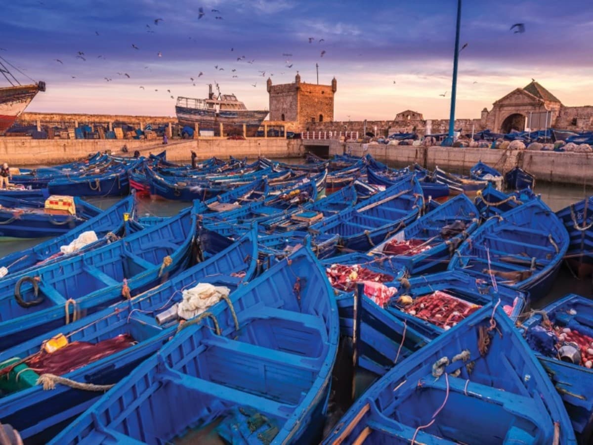 Circuit Privatif Marrakech, Essaouira et désert d'Agafay 7 jours / 6 nuits ( Demi pension )