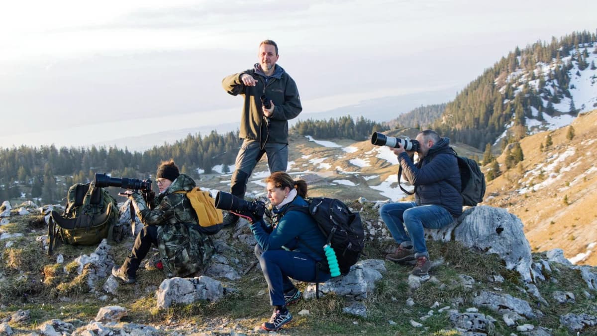 Découvrez l'art de la photo animalière dans le Jura
