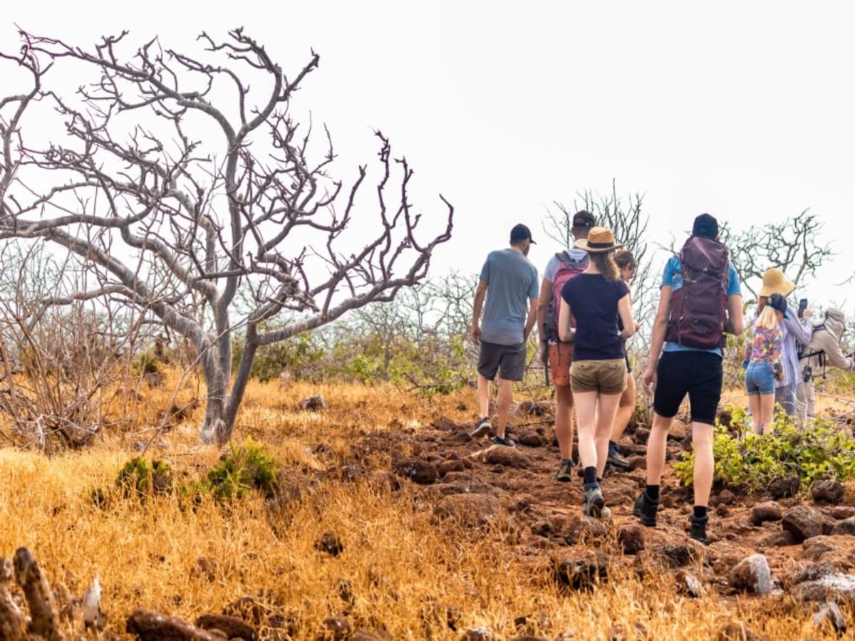 4-Day Wildlife & Wonders of Galapagos