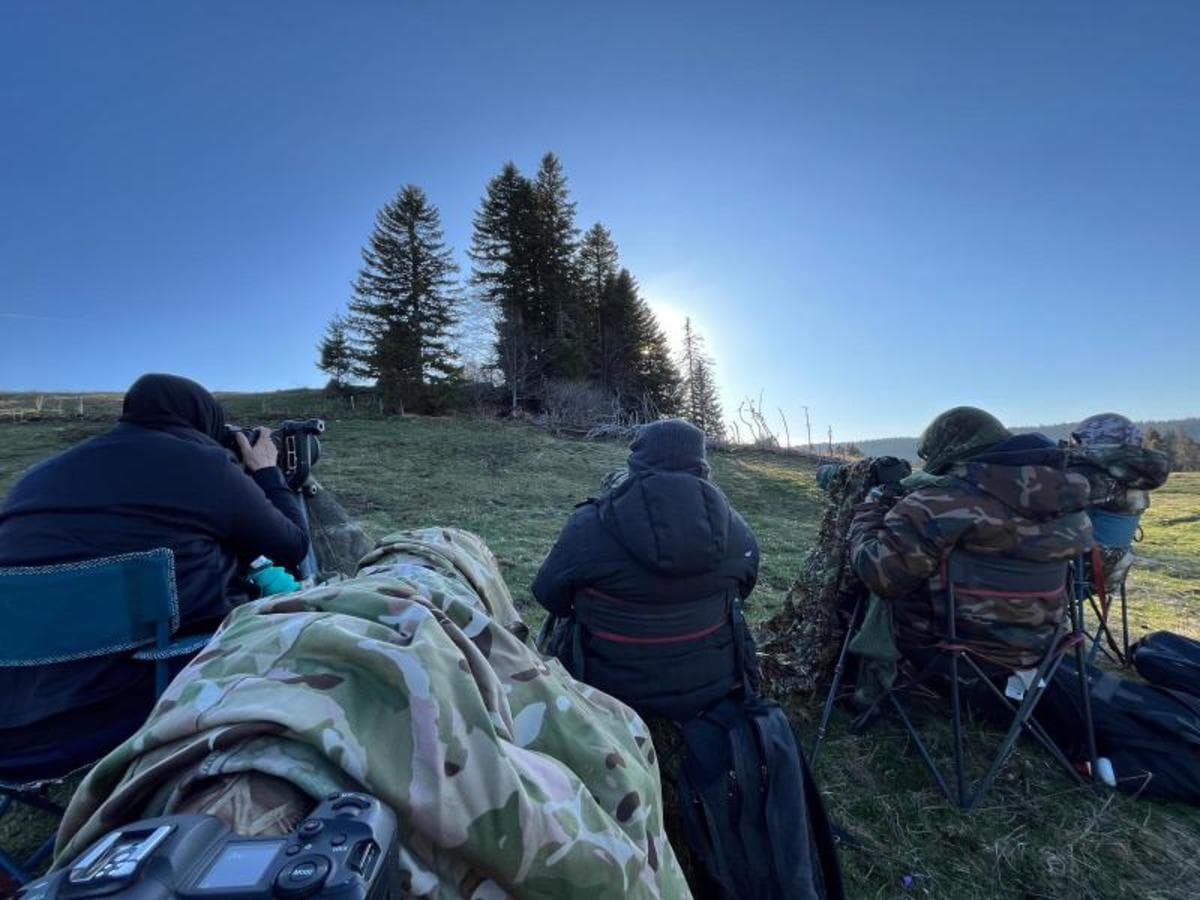 Découvrez l'art de la photo animalière dans le Jura