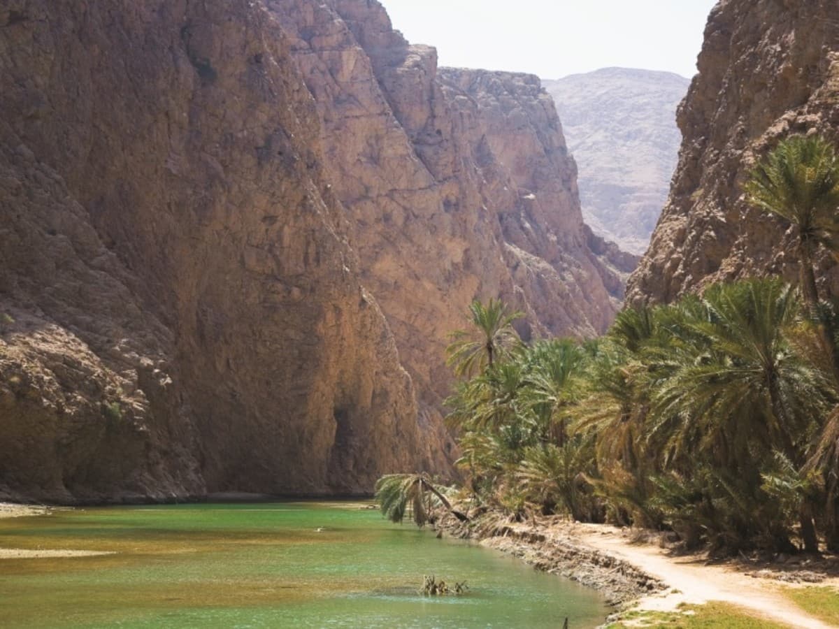 Oman GIR: L’essentiel