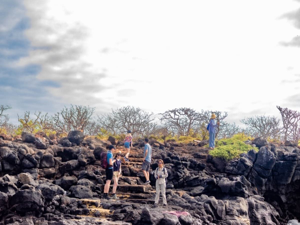 4-Day Wildlife & Wonders of Galapagos