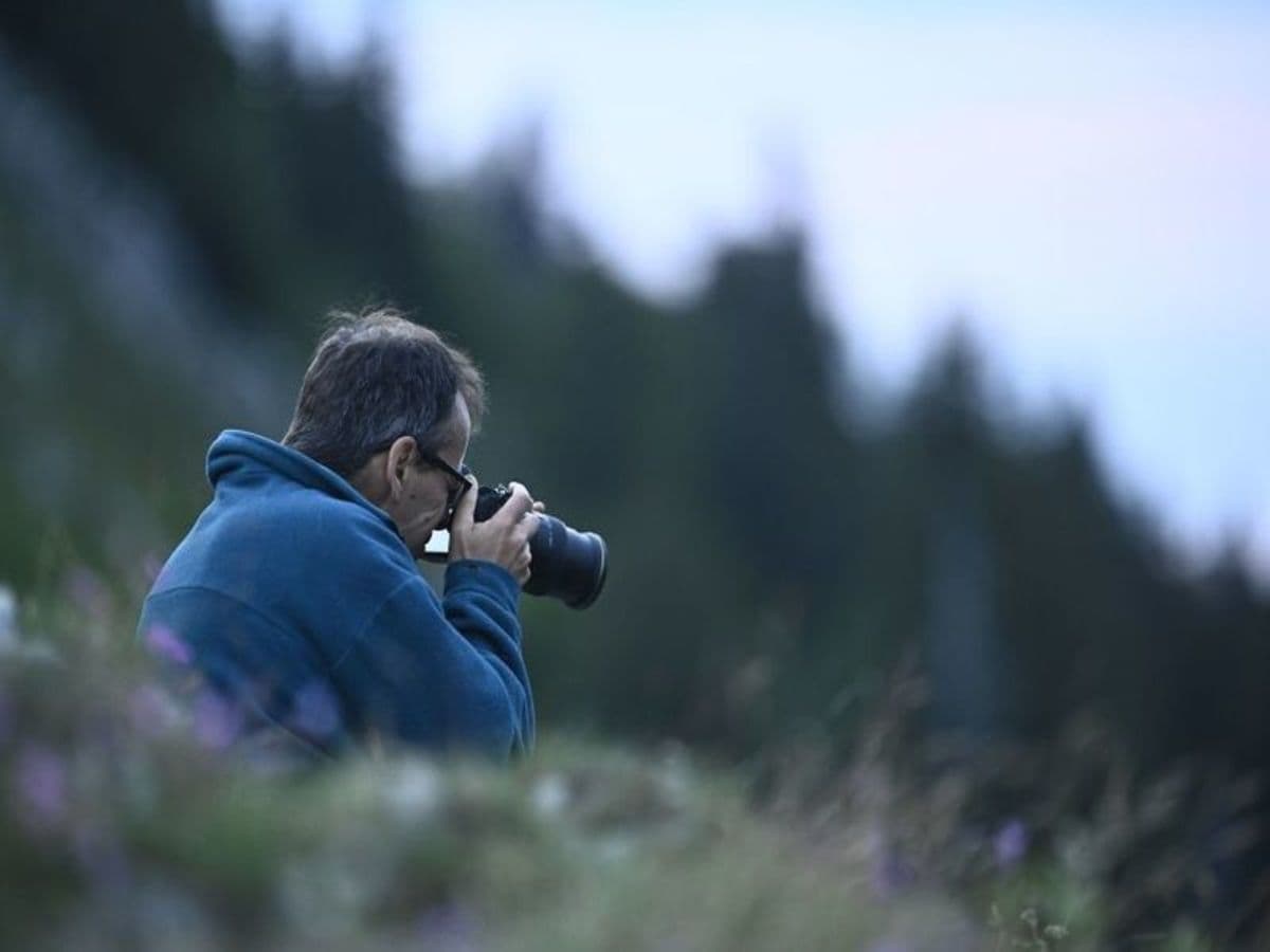 Découvrez l'art de la photo animalière dans le Jura