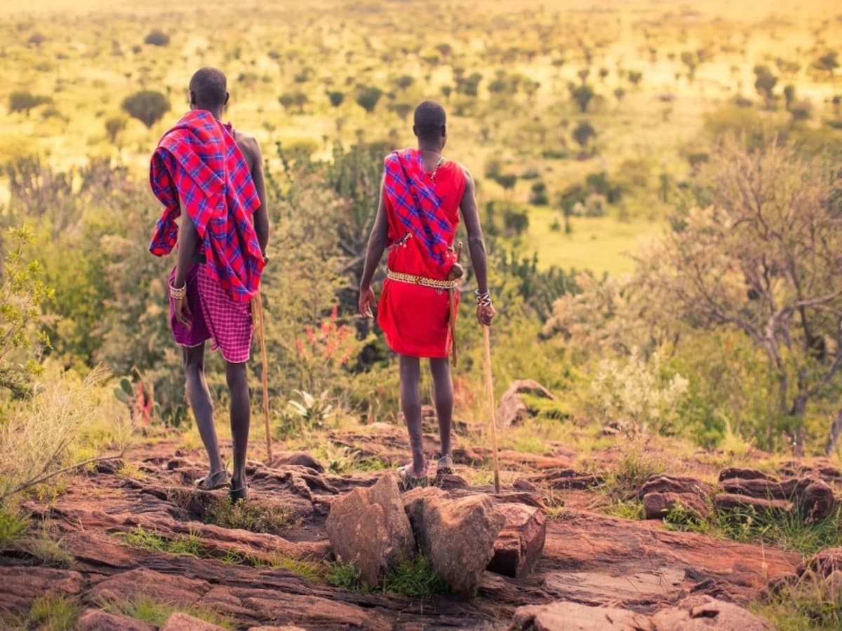 Highlights of Kenya Safari