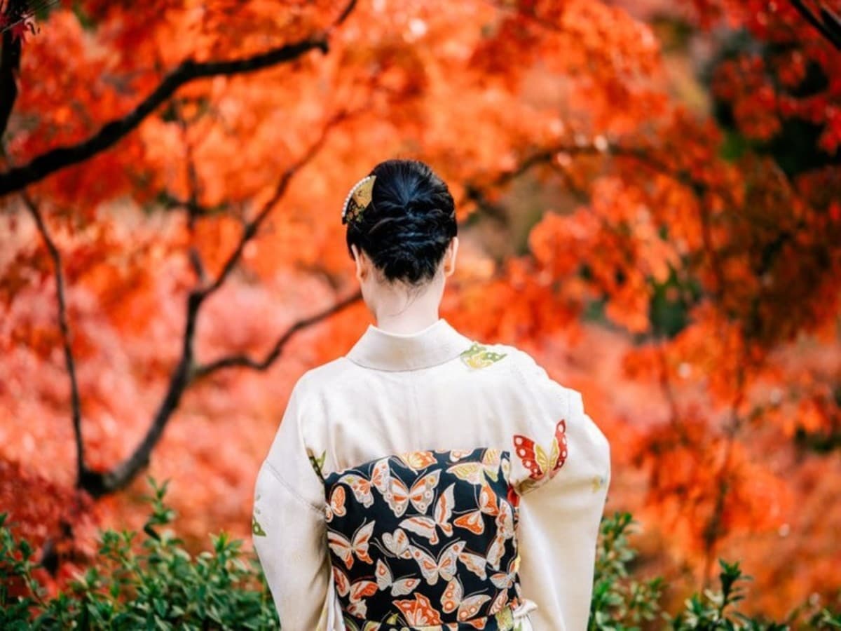 Circuit individuel : Le Japon au gré des saisons en 15 nuits