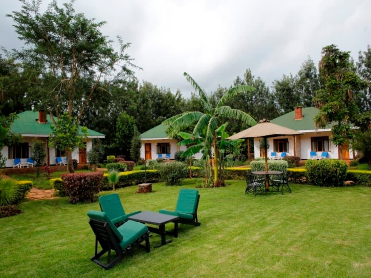 Tarangire–Ngorongoro–Serengeti EXPERIENCE