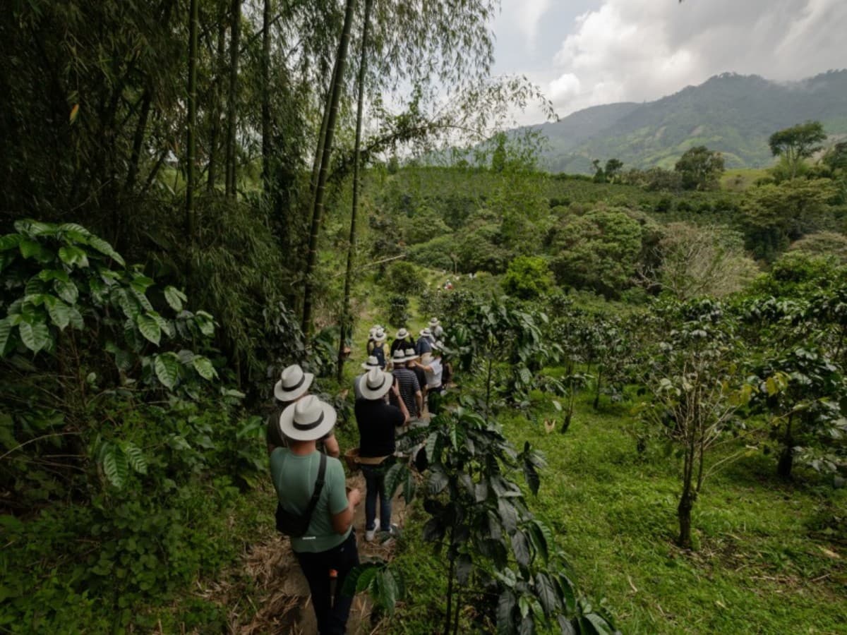 12-Day All Colours of Colombia – Bogotá, Coffee Region, Medellín & Cartagena