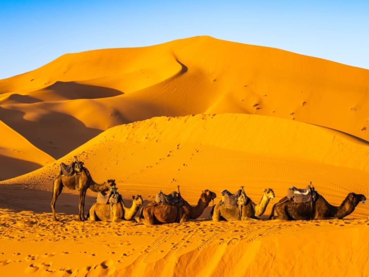 Circuit privatif : Marrakech et désert de Merzouga - 7 Nuits / 8 Jours ( en BB )