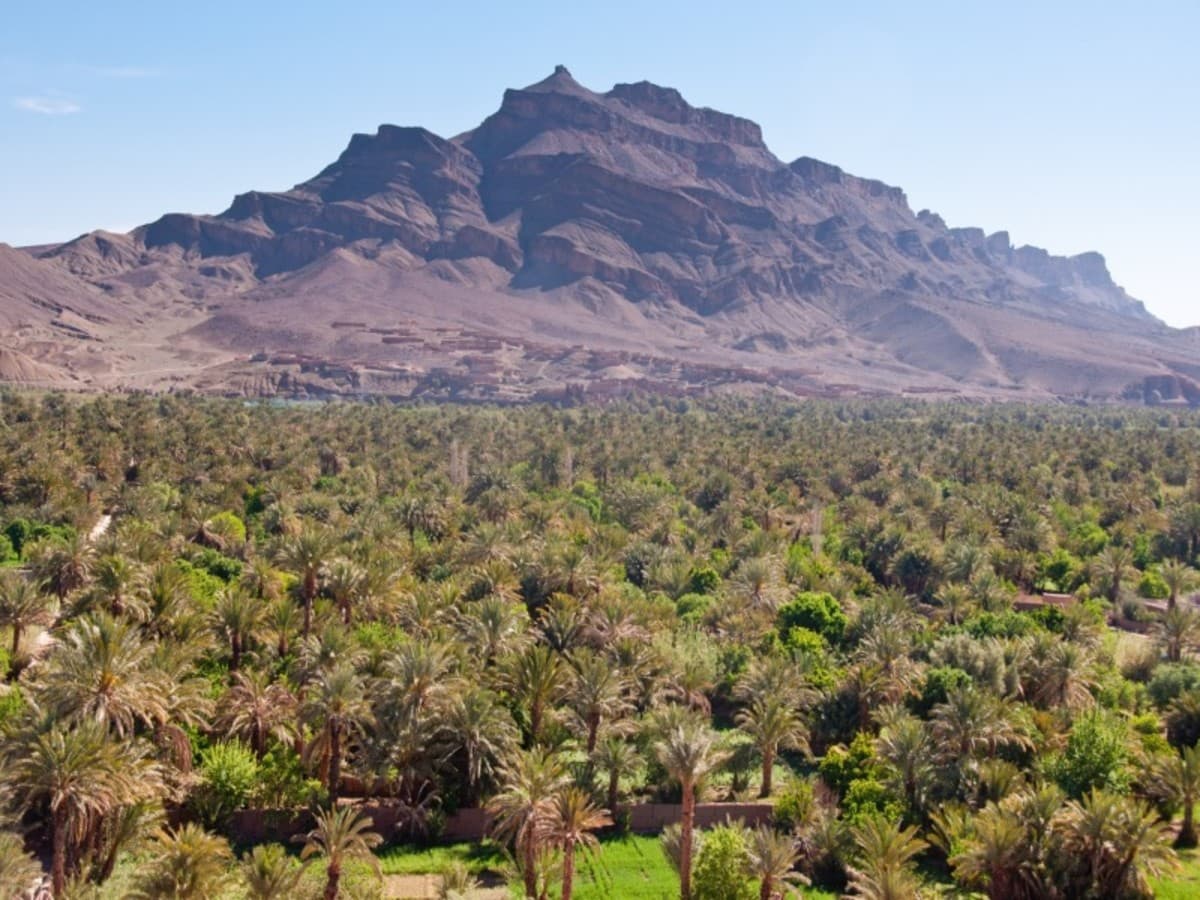 Circuit privatif : Marrakech et désert de Merzouga - 9 Nuits / 10 Jours ( en BB )