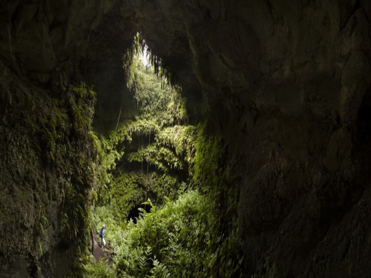 Ecuador in Immersion