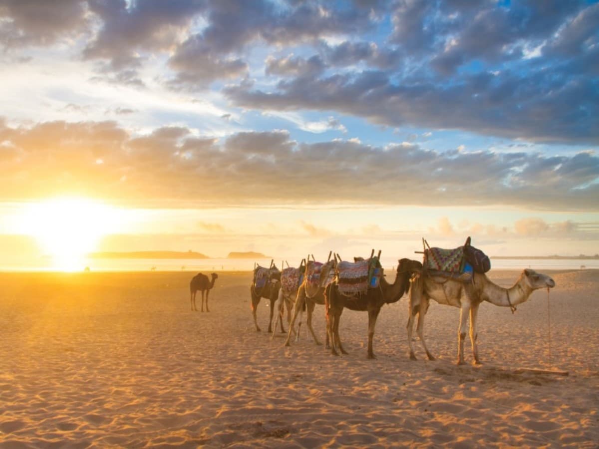 Circuit Privatif Marrakech, Essaouira et désert d'Agafay 7 jours / 6 nuits ( Demi pension )