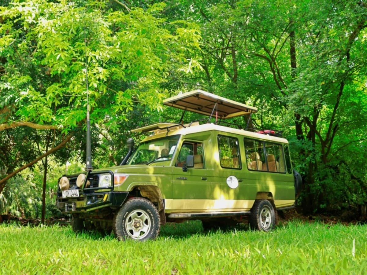 Kenya Eco Safari Hors De Sentiers Battus