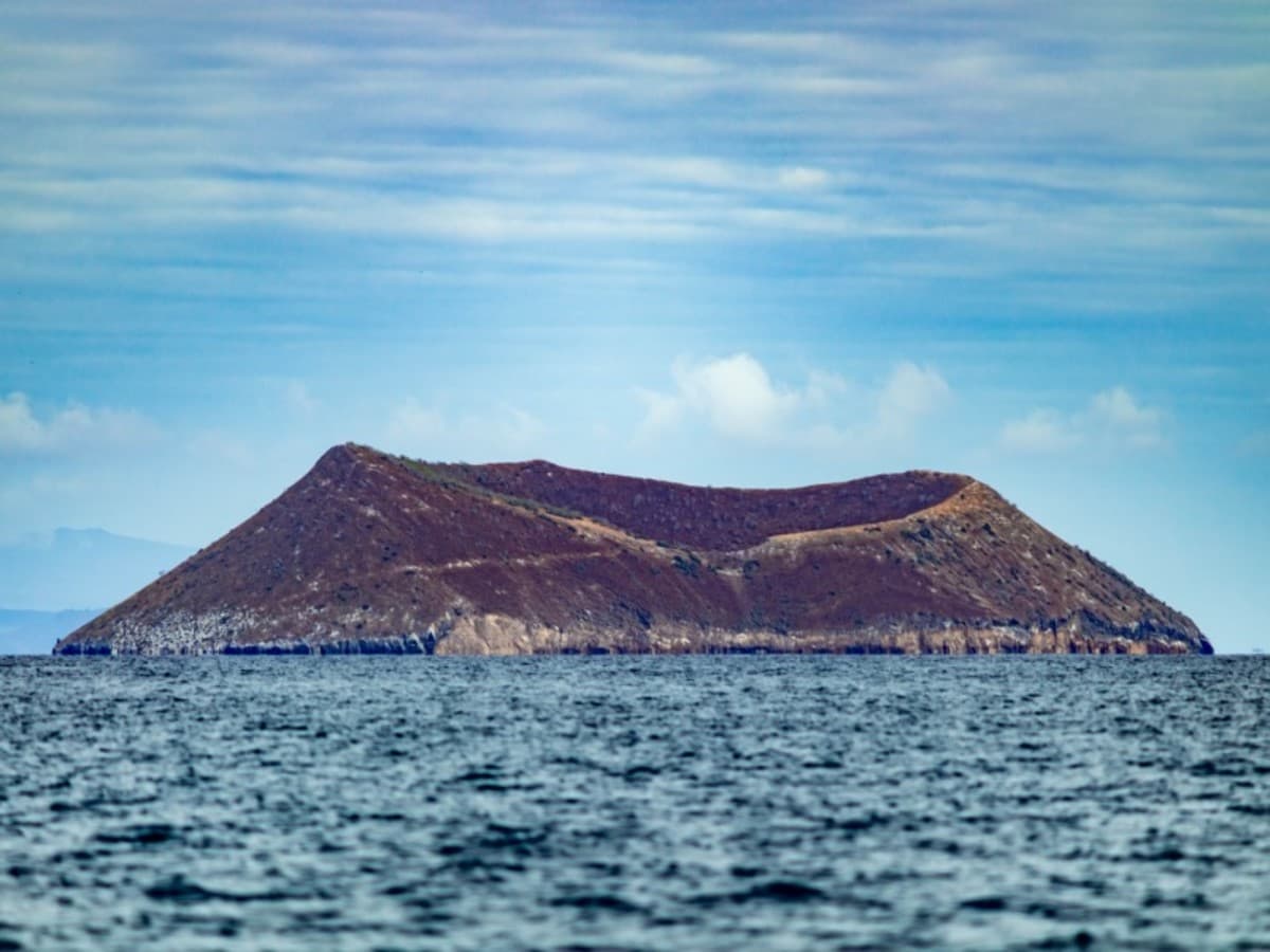 4-Day Wildlife & Wonders of Galapagos