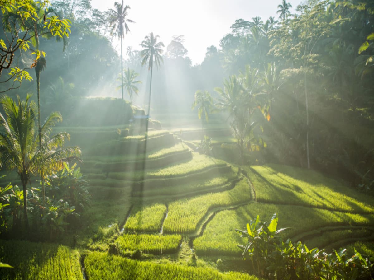 Art Beyond Canvas: Bali’s Living Heritage