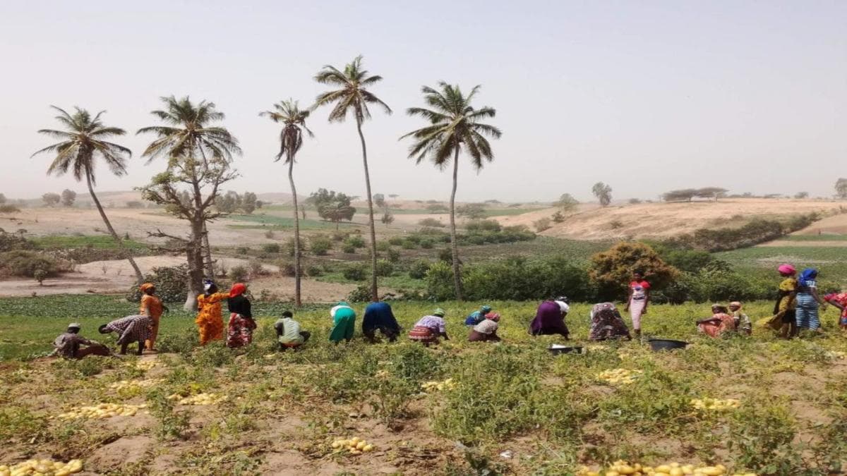 Rencontres villageoises au Sénégal