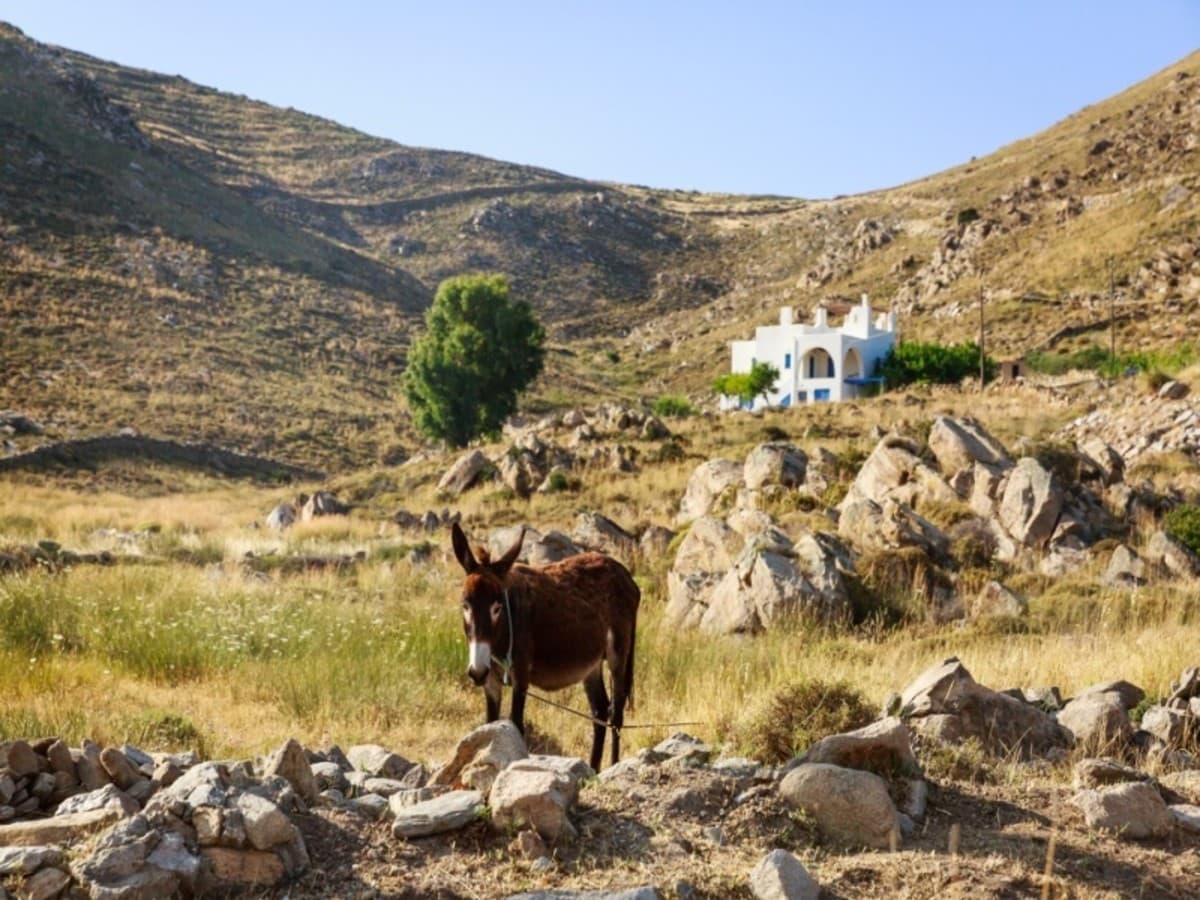 Découverte d’Athènes et des Cyclades en 3*