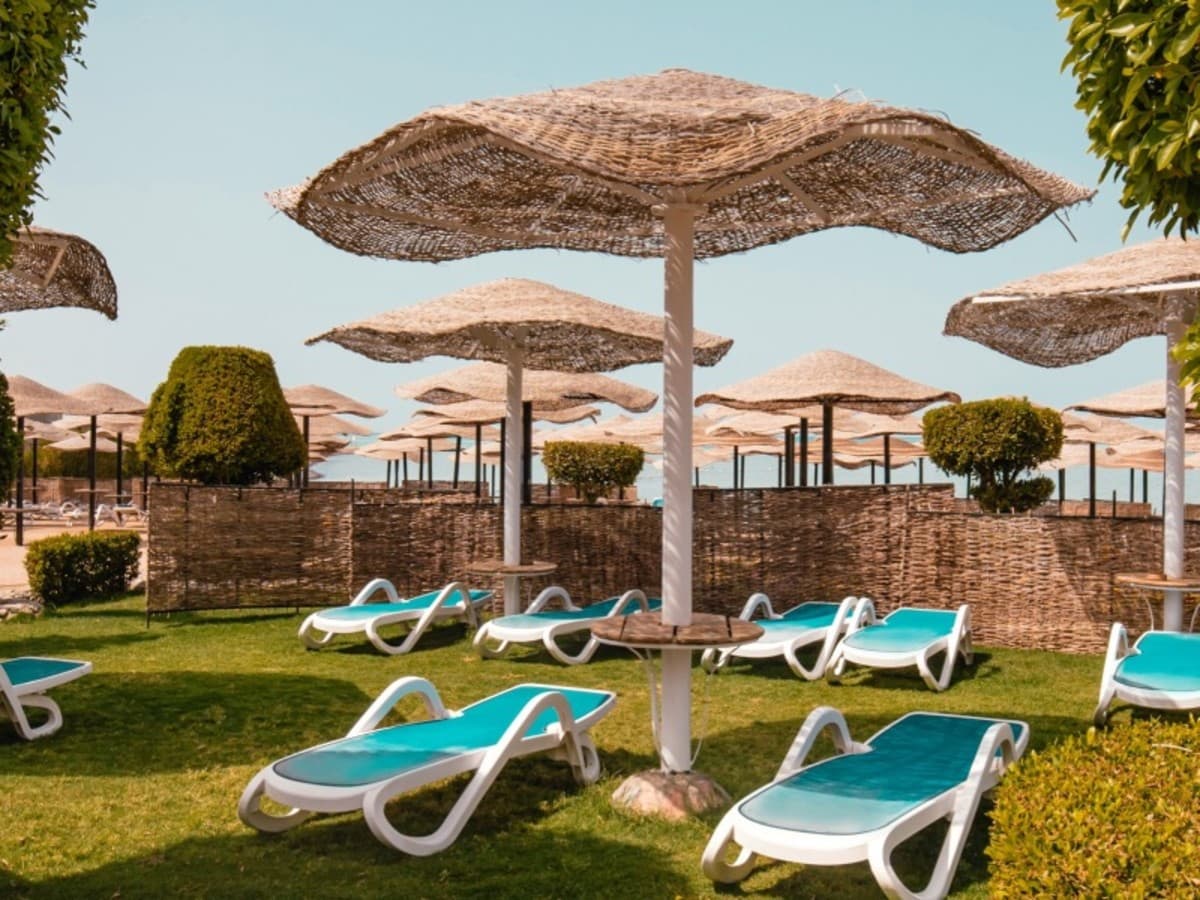 L'Echappee Egyptienne