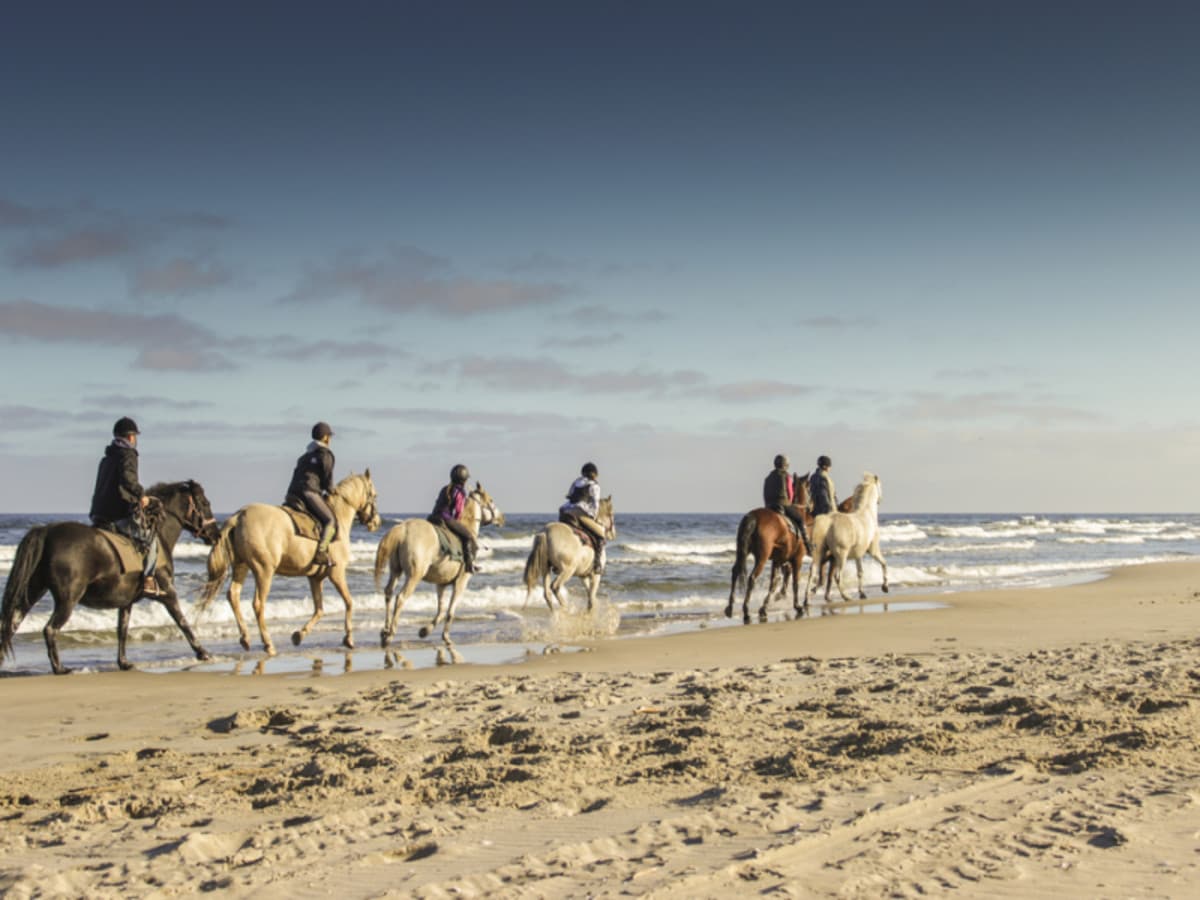 Circuit Privatif Marrakech, Essaouira et désert d'Agafay 7 jours / 6 nuits ( Demi pension )