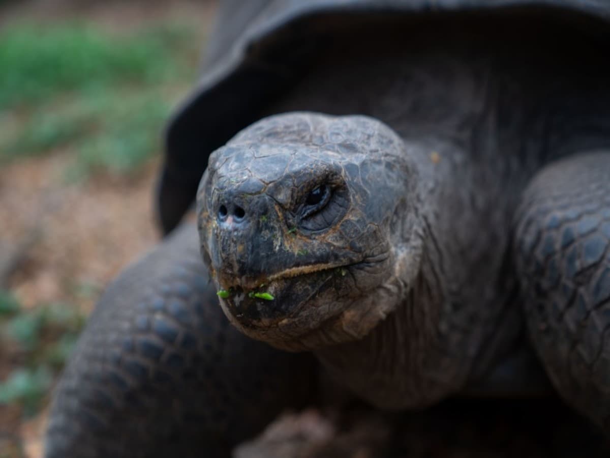 4-Day Wildlife & Wonders of Galapagos