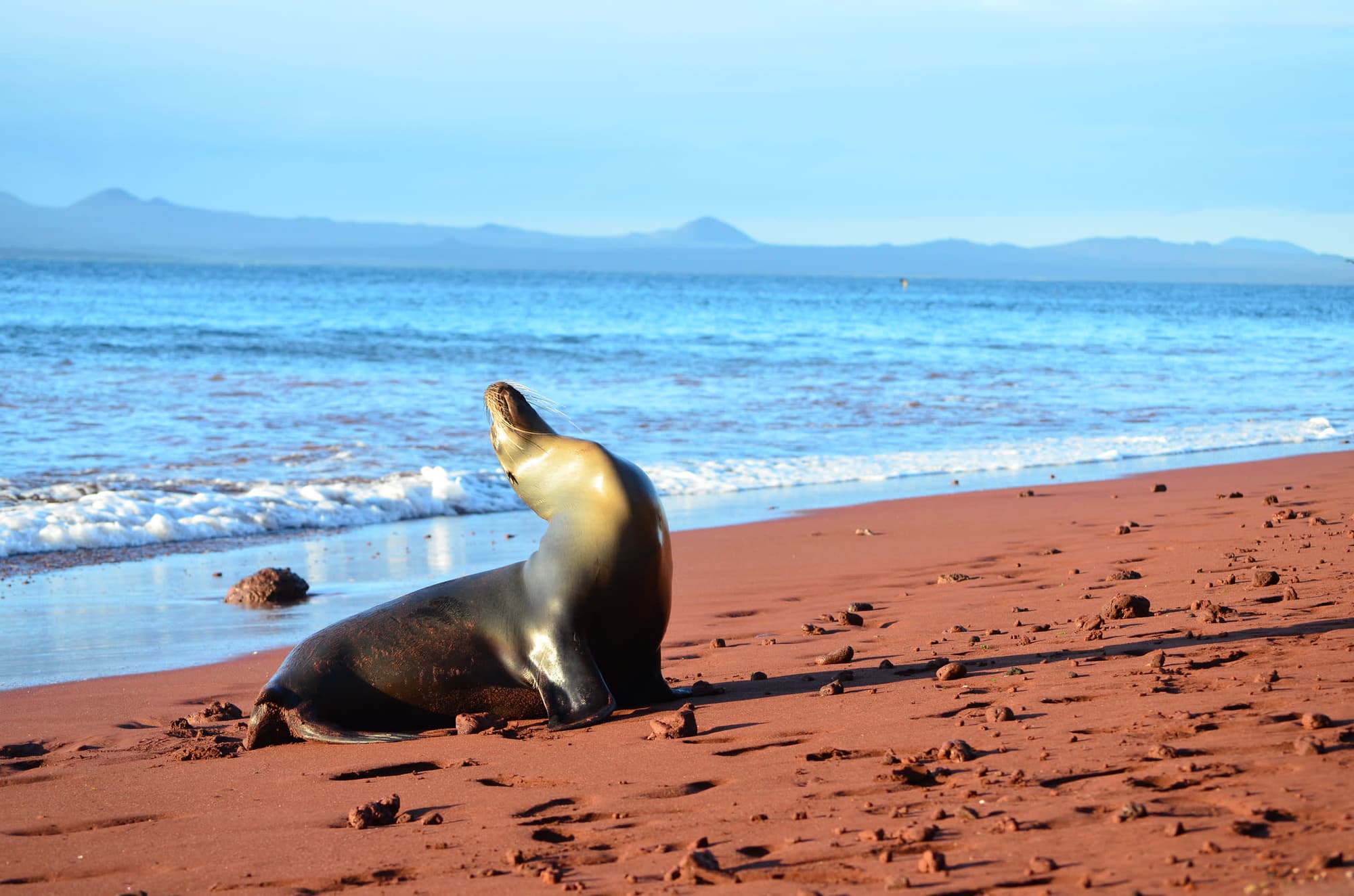 Galapagos Island Hopping