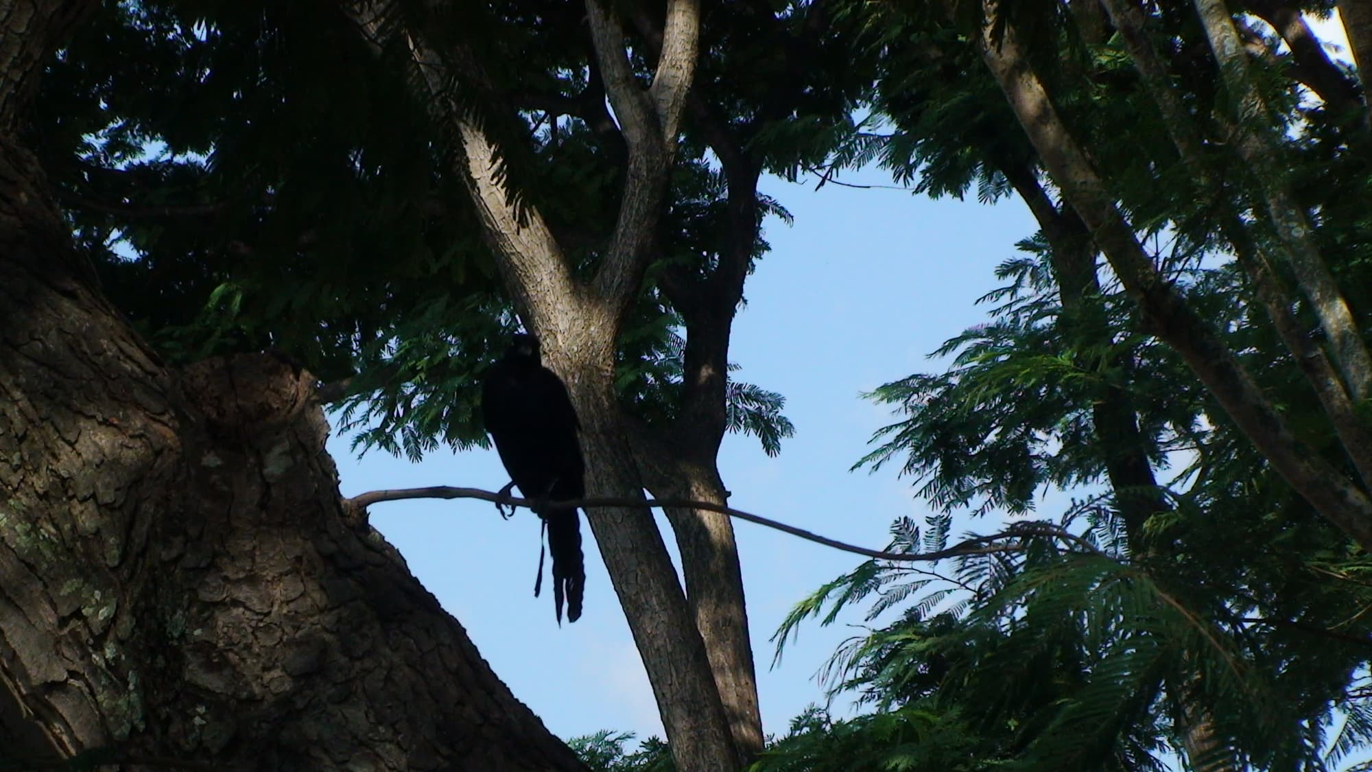 Vivencias en Pueblos Mayas - Privado (vuelo doméstico incluido)
