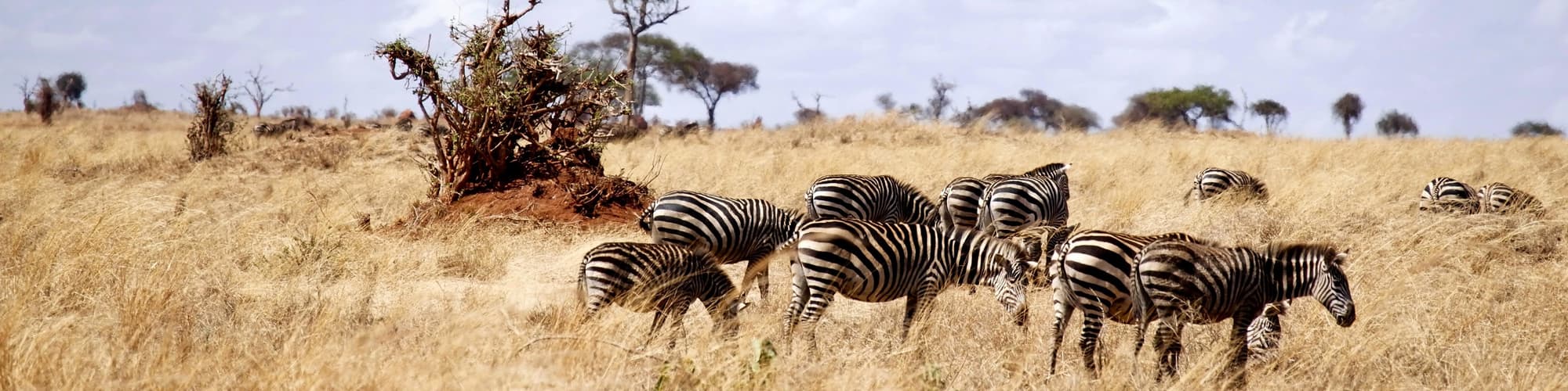 Parque nacional Arusha, Tanzania
