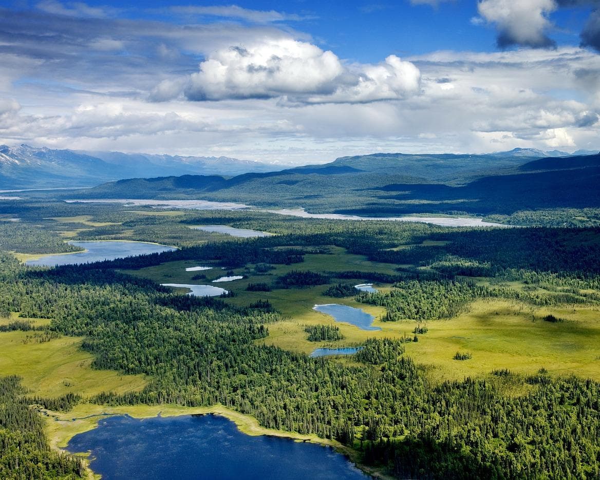 Tok AK, Verenigde Staten