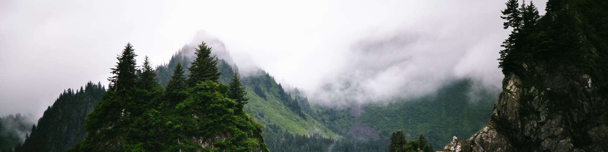 Penisola di Kenai, AK, Stati Uniti d'America
