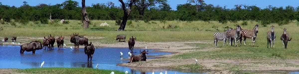 Chobe National Park, Botswana